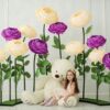 Flowers Powers Package