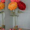 3 Orange, Red and Pink Flowers