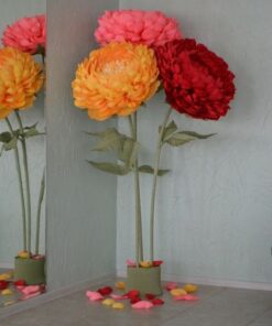image of 3 Orange, Red and Pink Flowers