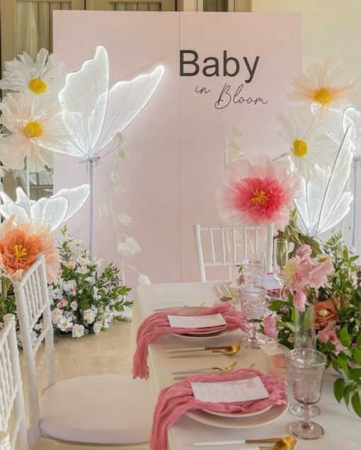 Baby in Bloom Package