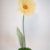 image of a giant yellow silk flower