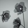 image of 3 black fabric flowers