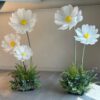 5 Daisy Standing Flowers