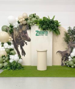 dino birthday package