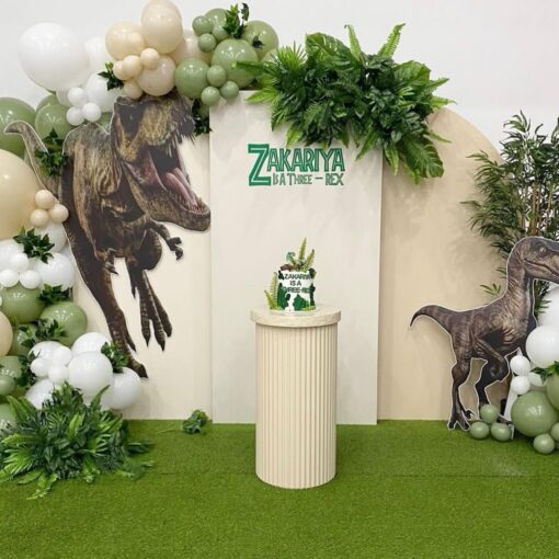 Dino Birthday Package - Image 2