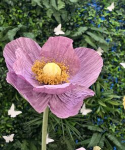 image of a Poppy Standing Flower