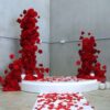Proposal Package