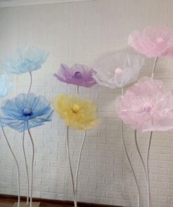 8 Colourful Giant Blooms