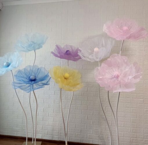 8 Colourful Giant Blooms