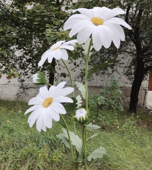 3 Giant Daisy Blooms