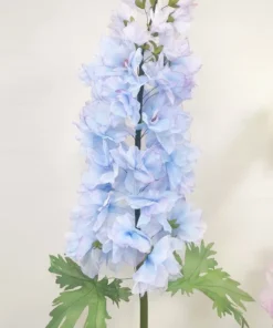 1 Blue Delphinium Flower