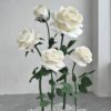 5 Giant White Roses Bouquet