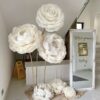 3 Elegant White Flowers