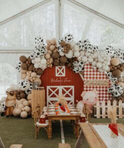Themed Birthday Party