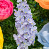 1 Purple Delphinium Flower