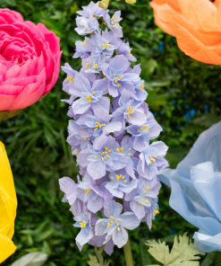 1 Purple Delphinium Flower