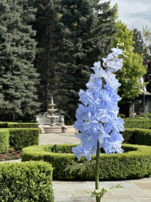 Blue Delphinium Flower - Image 2