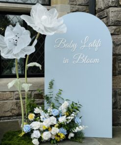 "Baby in Bloom" Blue Package