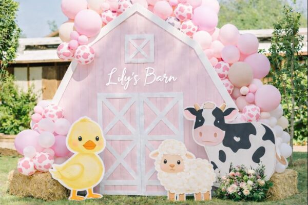 Pink Barn Farm Party Package for kid birthday party in Toronto
