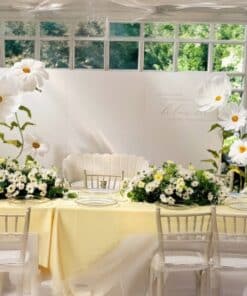 Square Backdrop with Giant Daisies