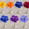 Giant Silk Poppy Collection displayed in seven colour options including yellow, orange, royal blue, burgundy red, bright blue, purple, and periwinkle, each with a tall green stem and decorative leaf.